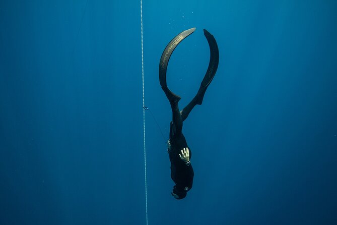 Discover Freediving Course - Inclusions and Amenities