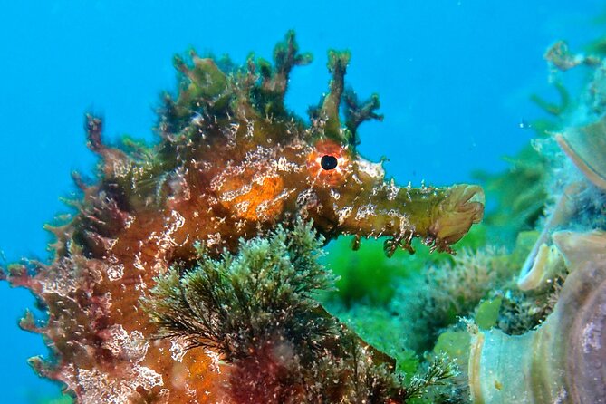 Discover Scuba Diving - Scuba Equipment and Inclusions