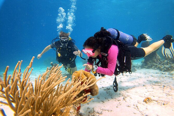 Discover Scuba Diving Aruba - Meeting Point and Transportation