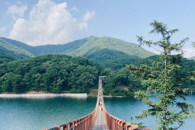 DMZ Tour: 3rd Tunnel, Option(Suspension Bridge, Boat) From Seoul - Transportation and Comfort
