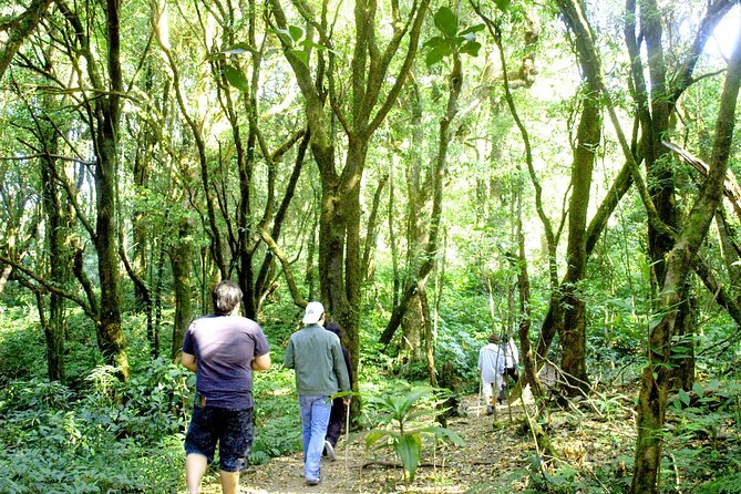 Doi Inthanon National Park, Waterfall & Royal Project Day Tour From Chiang Mai - Pickup and Meeting Point