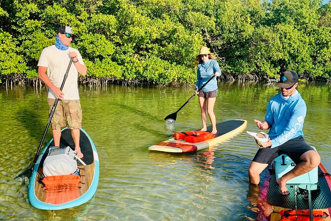 Dolphin and Manatee Adventure Tour of Fort Myers - Tour Highlights and Activities