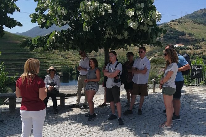 DOURO VALLEY in 8 Pax Groups W/ 2 Wineries, Lunch and 1h Cruise - Confirmation and Accessibility
