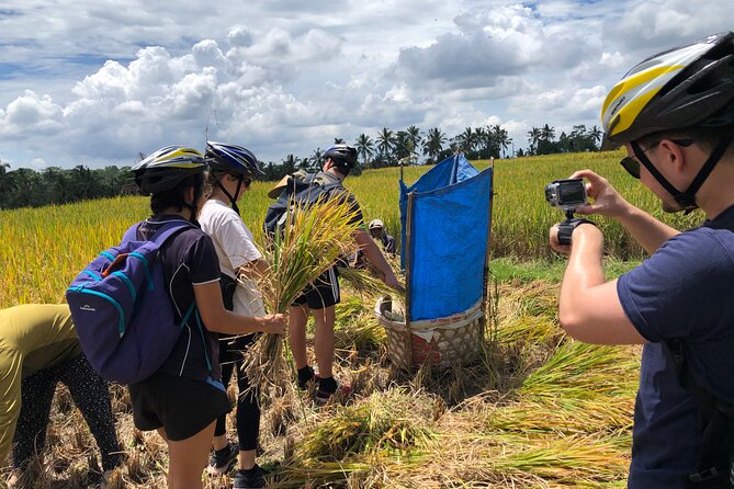 Downhill Cycling Tour Ubud Through Jungle and Rice Terrace - Tour Highlights