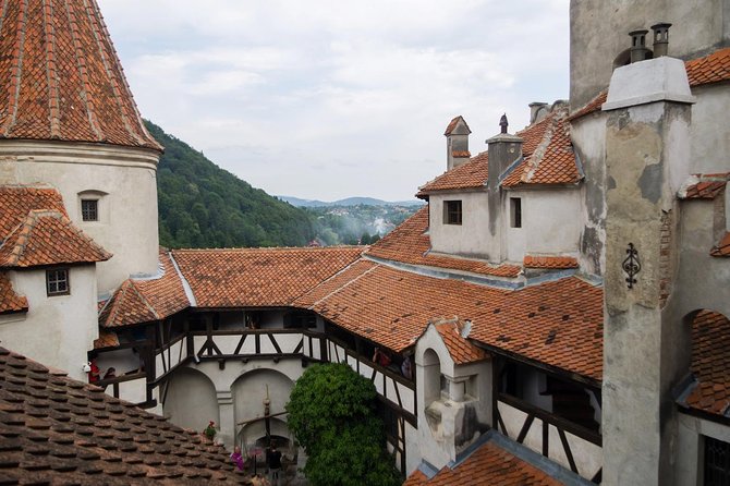 Dracula and Peles Castles Premium Tour With Hotel Pick-Up - Prahova Valley Scenery