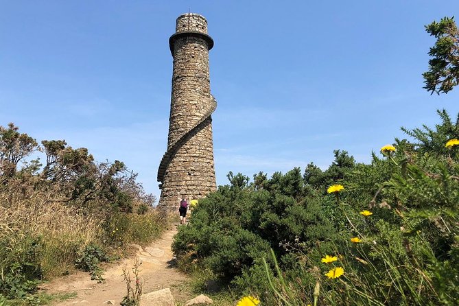 Dublin to Enniskerry, Wicklow, Guinness Lake, Glendalough Tours - Inclusions