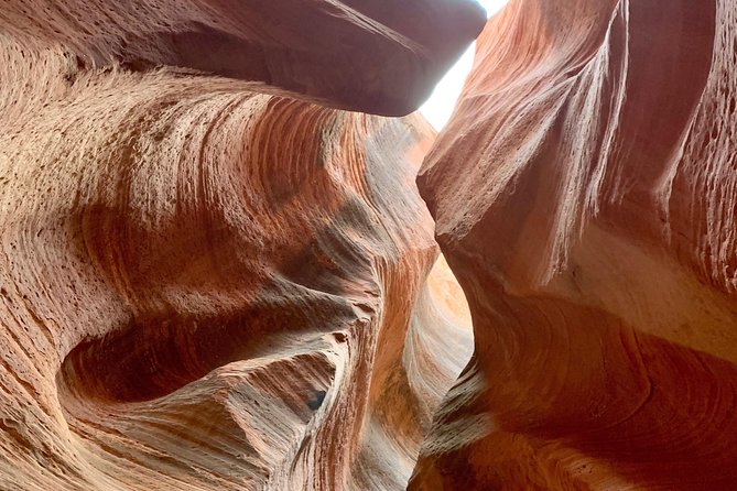 East Zion 4 Hour Slot Canyon Canyoneering UTV Tour - Fitness Level and Cancellation Policy
