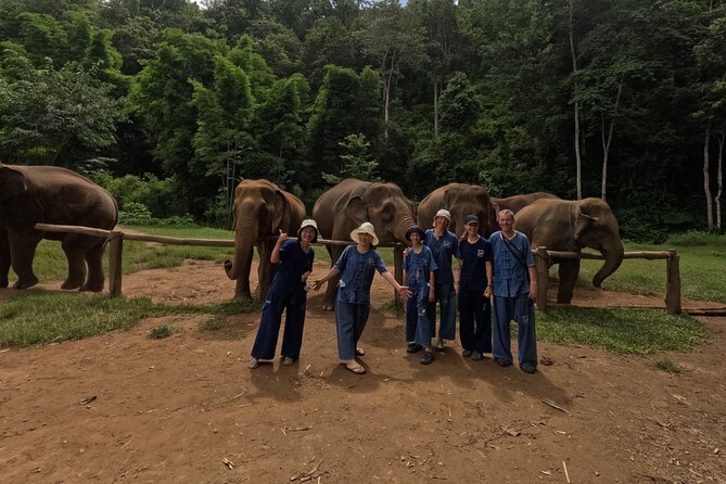 Elephant Care Program at Chiangmai Elephant Care - Customer Reviews and Feedback