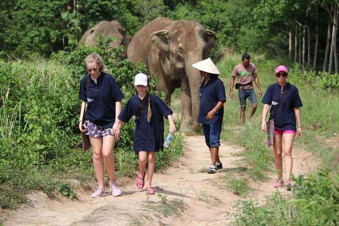 Elephant Nature Care, the Largest Elephant Sanctuary on Koh Samui - Hotel Pick-up and Drop-off