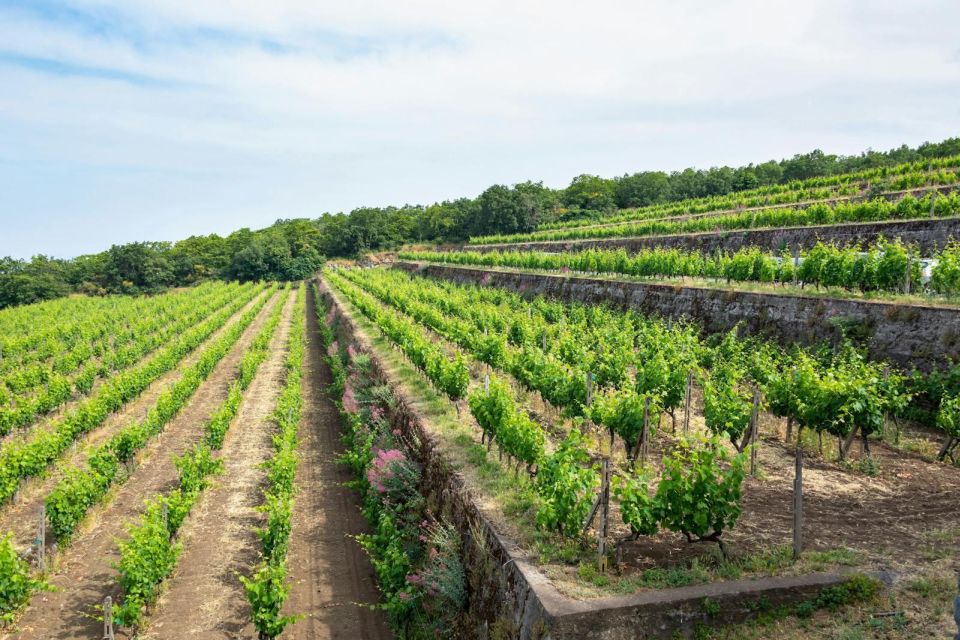 Etna 4x4 & Wine Tasting Tour - Volcanic Craters