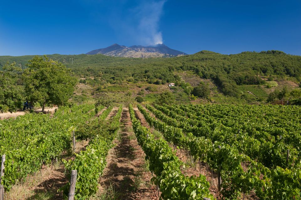 Etna Quad & Wine Combo Private Tour - Quad Bike Ride on Mount Etna