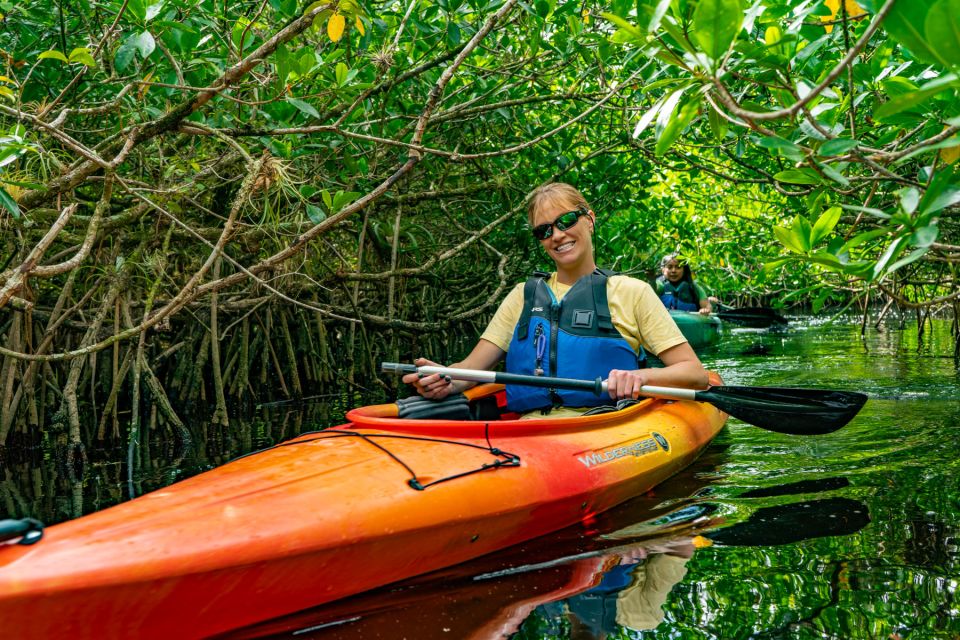 Everglades: Guided Kayak and Airboat Tour - Mangrove Tunnels