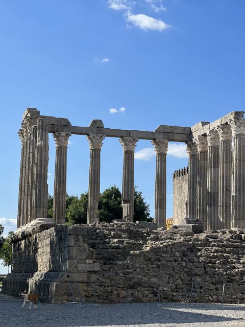 Evora: Ancient Roman Temple & King's Christ Tour - Chapel of Bones Experience