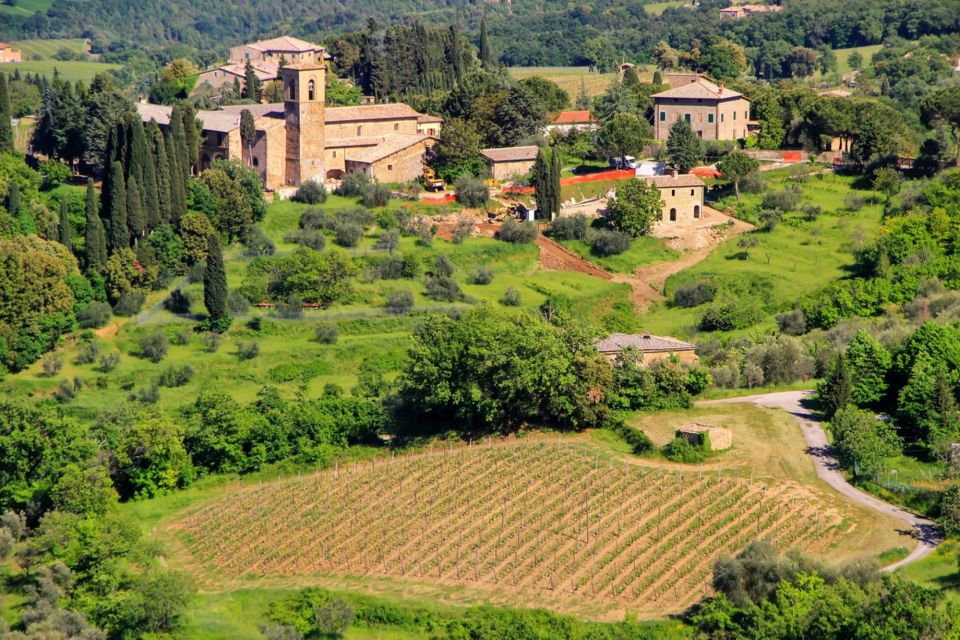 Exclusive Brunello Wine Tour a Private Luxury Experience - Experience Highlights