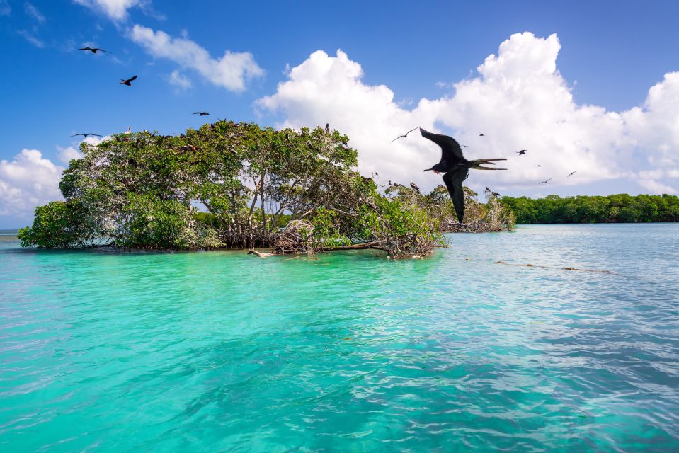 Exclusive Full Day Nature Expedition in Sian Kaan - Boat Cruise and Wildlife Viewing