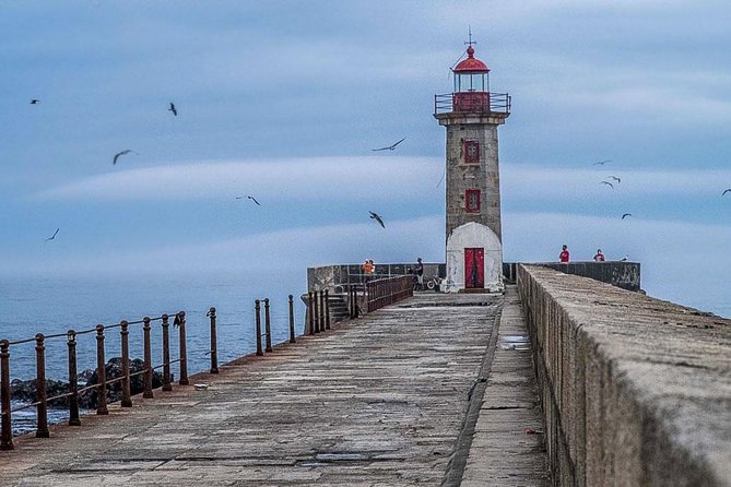 Experience Porto by Bike: 3-Hour Small-Group Tour - Itinerary Highlights