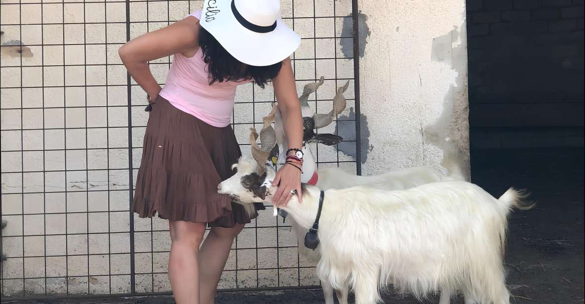 Experience With Girgentan Goats in Agrigento - Experience Description