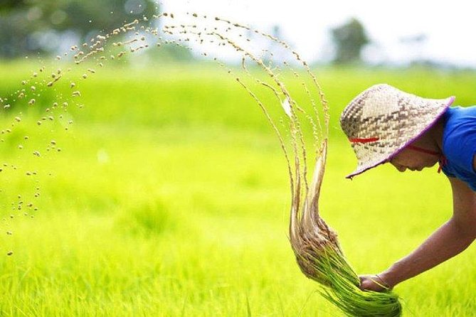 Explore Battambang Full Day Tour (Start 9am-7:00pm) - Inclusions and Amenities