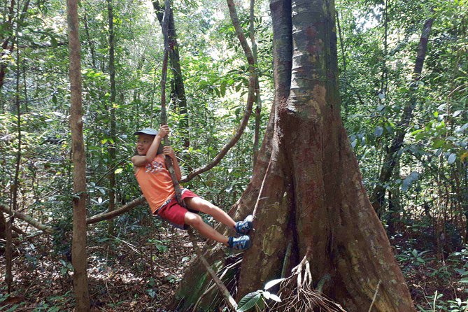 Explore the North of Phu Quoc Island by Classical US Army Jeeps - Logistics