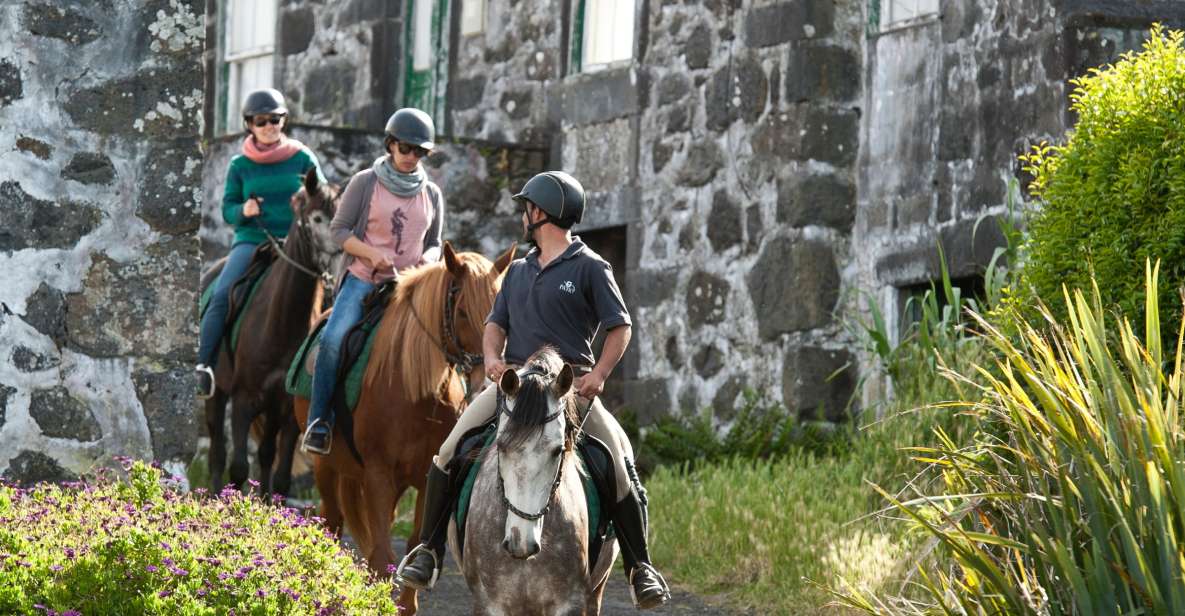 Faial Island: Horseback Riding on Lusitano Trail - History and Nature of Faial