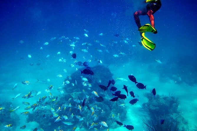 Fajardo Mini Boat Snorkel Safari - Age and Weight Requirements
