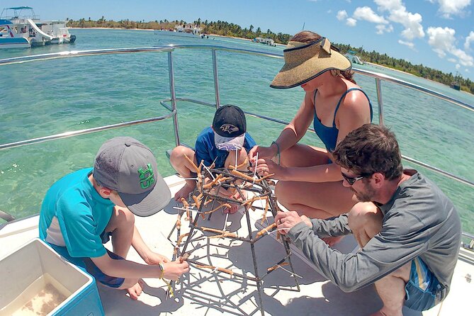 Family Friendly Snorkel Cruise and Seafood Lunch in Punta Cana - Snorkeling Equipment and Activities