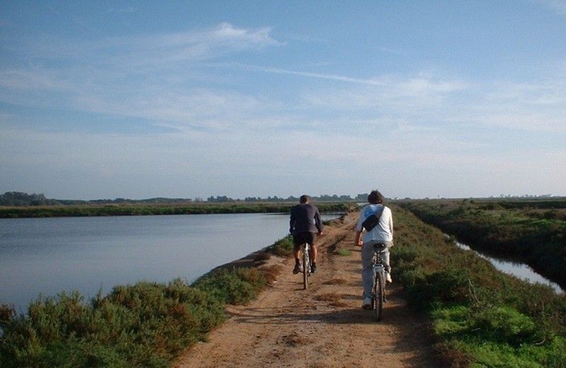 Faro Bike Tour Through the Beautiful Ria Formosa - Exploring Ria Formosa