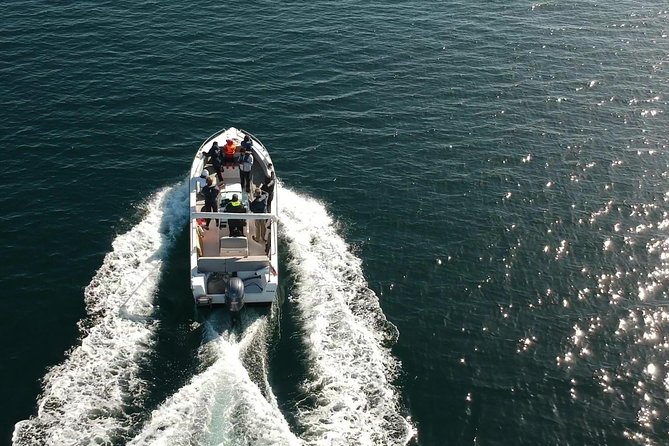 Faro - Ria Formosa Tour With Visit to 2 Islands (Deserta, Farol) 3.5 Hours - Opportunities for Exploration