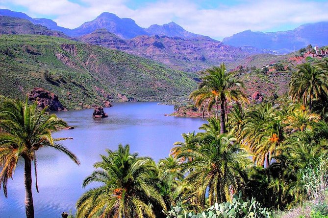 Firgas, Tejeda, Guayadeque - VIP Tour Gran Canaria - Reviews