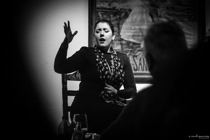 Flamenco Show in Seville at Bar and Tapas - Confirmation and Accessibility