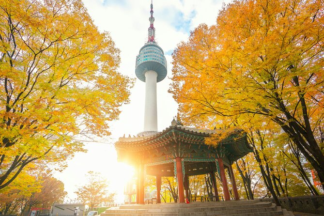 Flexible Private Guided Tour in Seoul (Optional Layover) - Additional Information