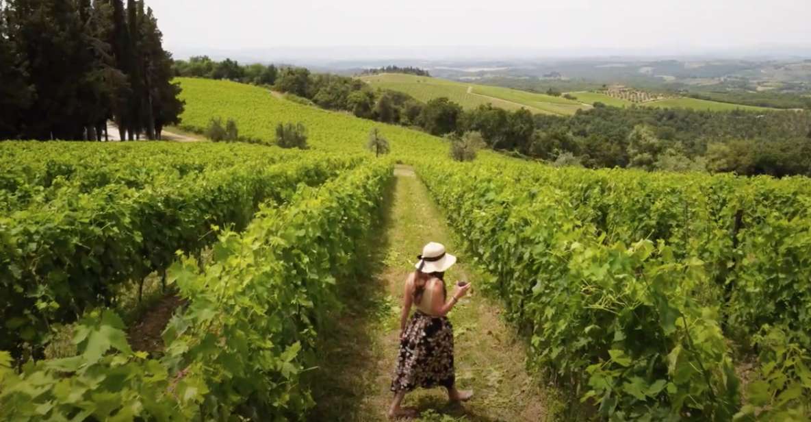 Florence: Chianti Vineyards Tour With Wine Tasting & Dinner - Inclusions