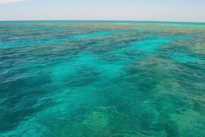 Florida Keys Reef Snorkel & Sail Adventure - Customer Reviews