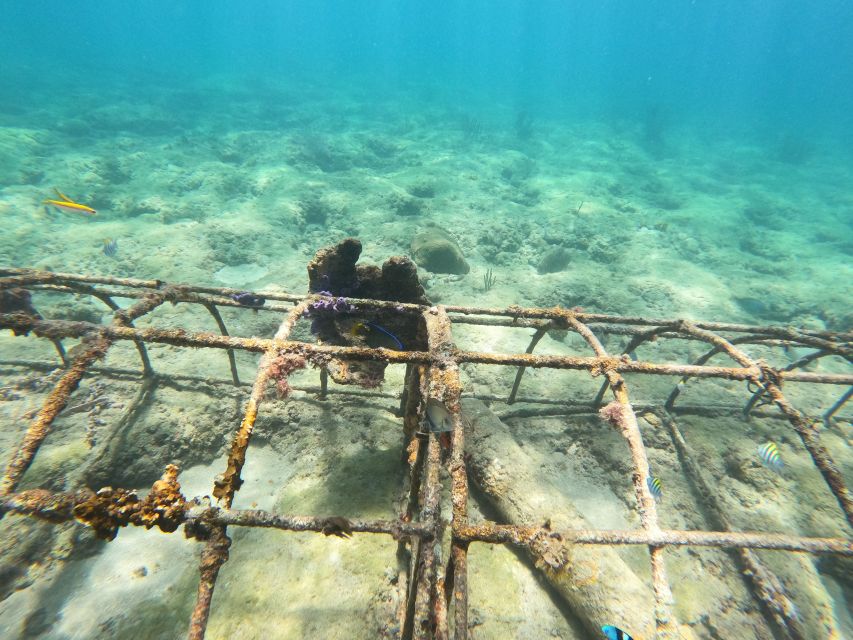 Fort Lauderdale: Guided Snorkeling Reef Tour and Lesson - Exclusions