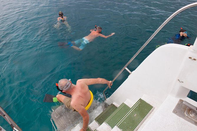 Four Winds II Molokini Snorkeling Tour From Maalaea Harbor - Reviews and Customer Feedback