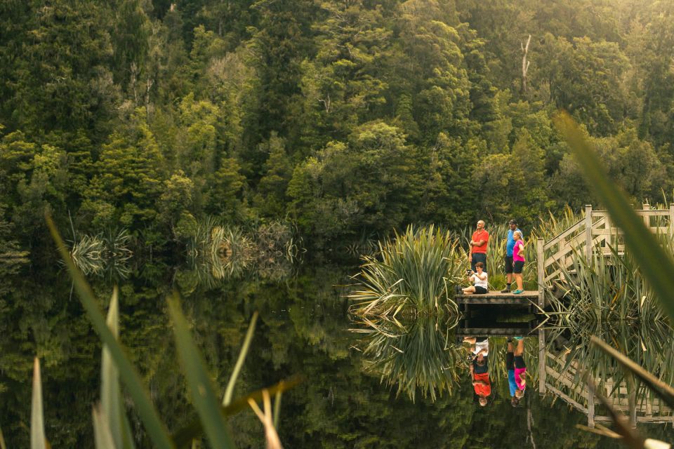 Franz Josef: Half-Day Nature Tour to Lake Matheson - Inclusions