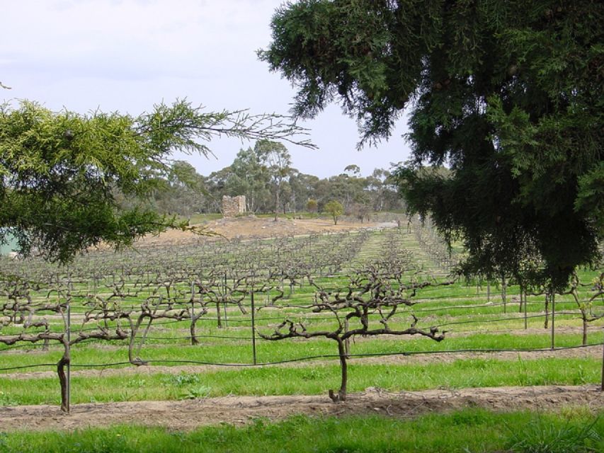 From Adelaide: Clare Valley Winery Tour - Booking Information