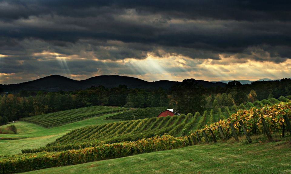 From Atlanta: North Georgia Wine Country Tour - Winery Visit Highlights