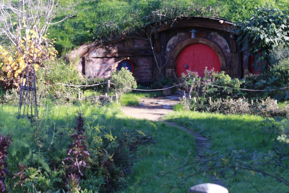 From Auckland: Hobbiton & Rotorua Tour With Lunch at Te Puia - Itinerary Highlights