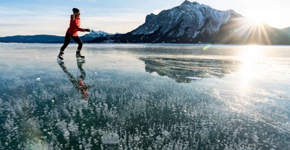 From Banff: Icefields Parkway & Abraham Lake Ice Bubbles - Encountering the Mesmerizing Ice Bubbles