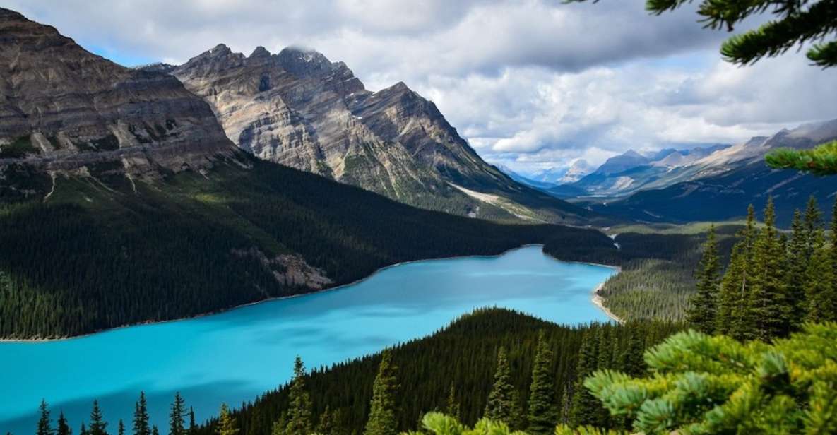 From Banff: Icefields Parkway Small Group Adventure - Discovering Peyto Lake