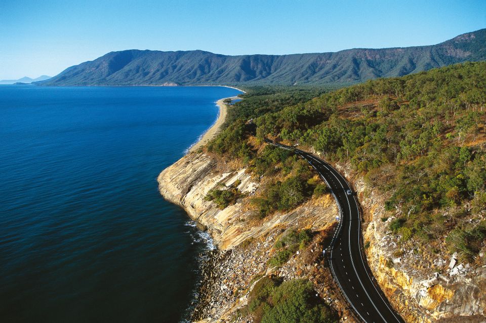 From Cairns: Daintree Wilderness & Cape Tribulation Bus Tour - Language and Pickup