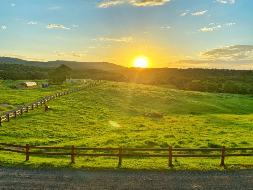 From Cairns: Kuranda Day Trip With Petting Zoo and Quad Ride - Highlights