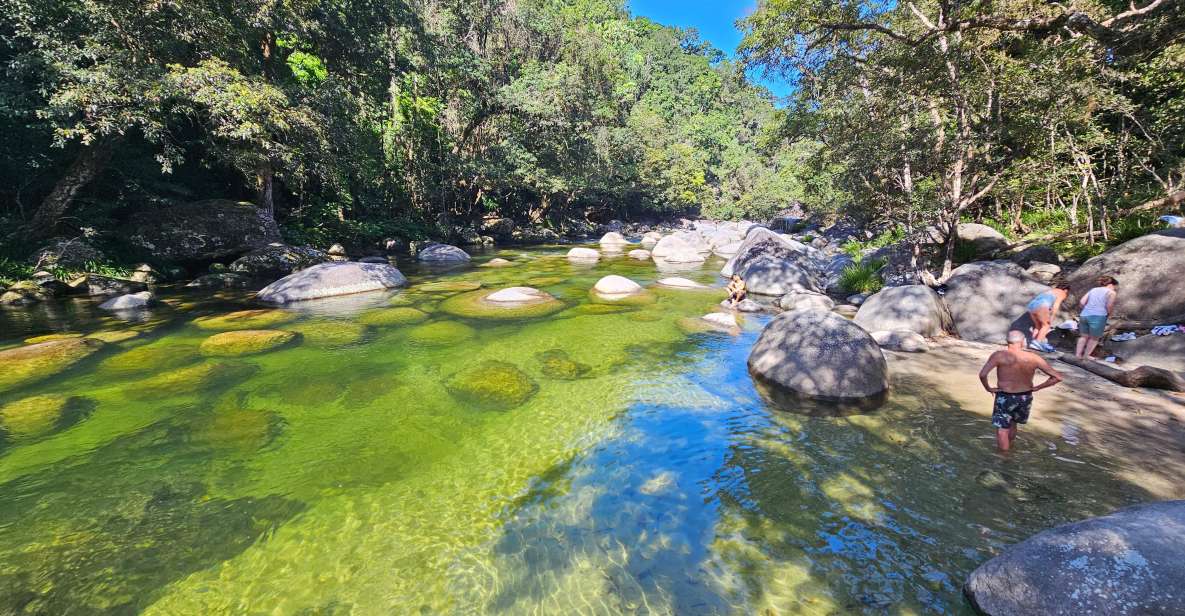 From Cairns: Mossman Gorge Tour & Daintree Rainforest Cruise - Itinerary