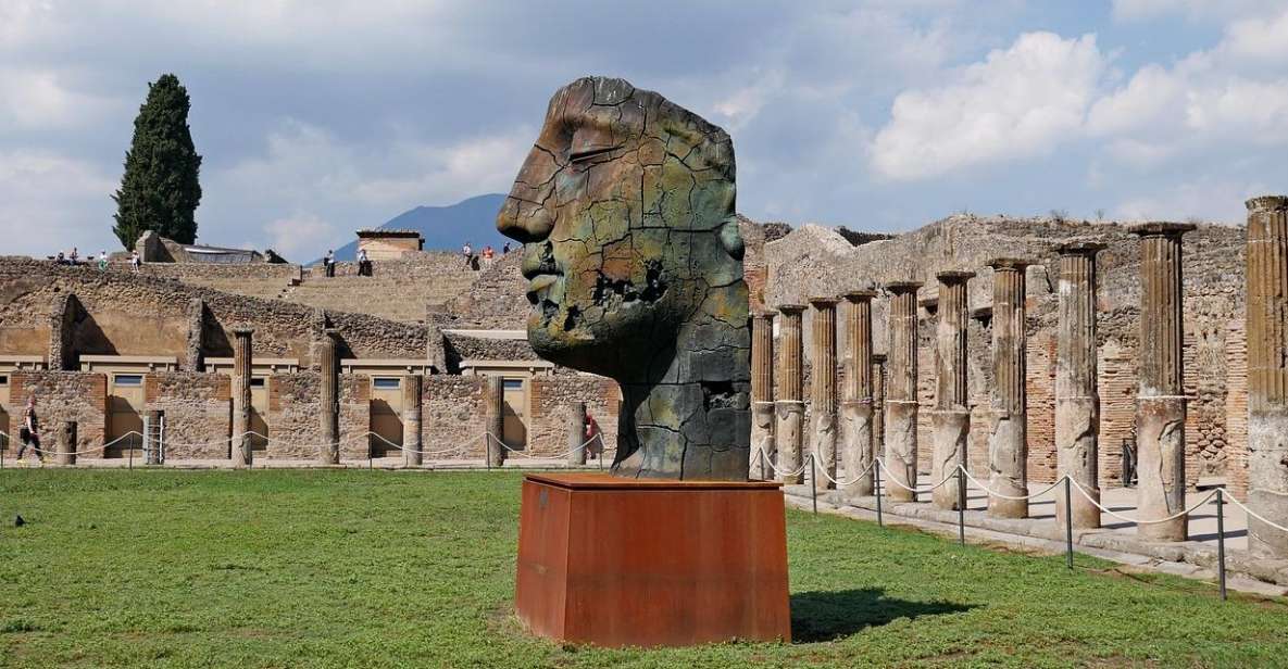 From Castellabate: Pompeii Ruins, Wine Tasting Lunch Tour - Experience Description