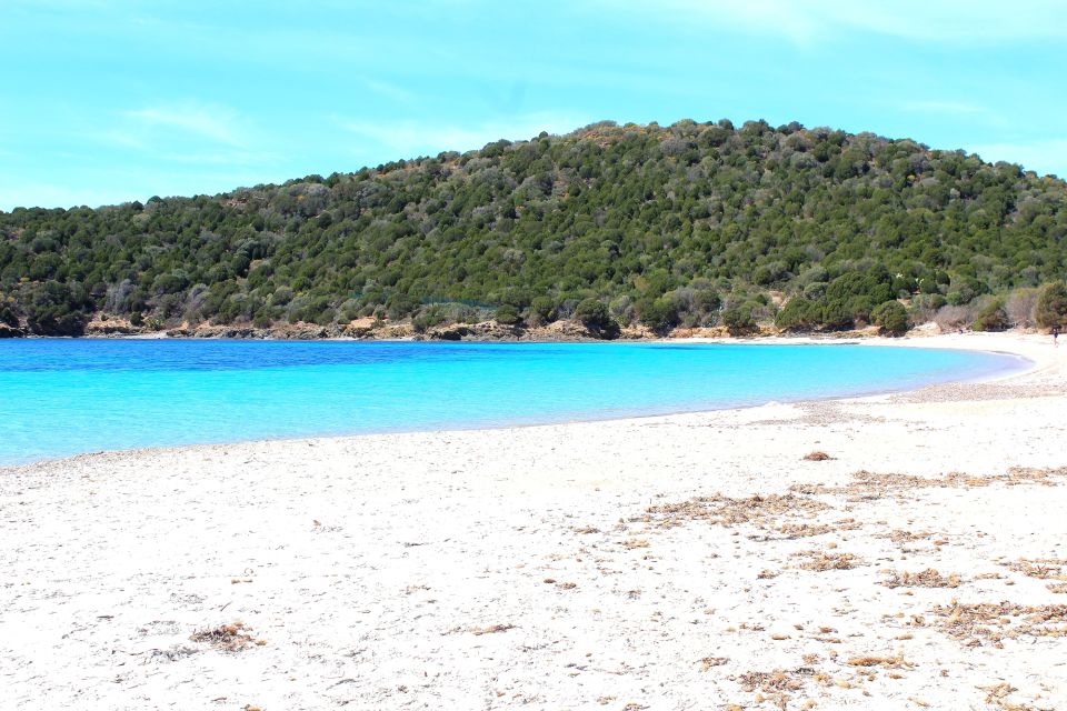 From Chia: Full-Day Tour of Sardinias Hidden Beaches - Inclusions