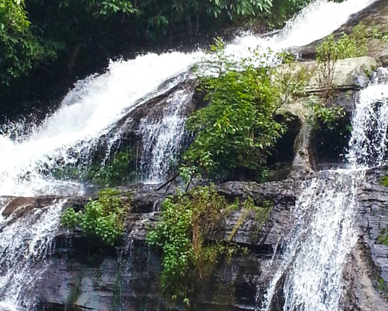 From Chiang Mai: Doi Inthanon National Park Day Trip & Hike - Angka Nature Trail