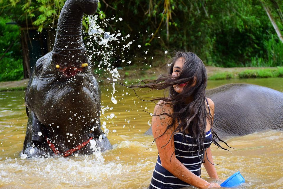 From Chiang Mai: Elephant Care Program and Nursery Tour - Booking and Pickup Details