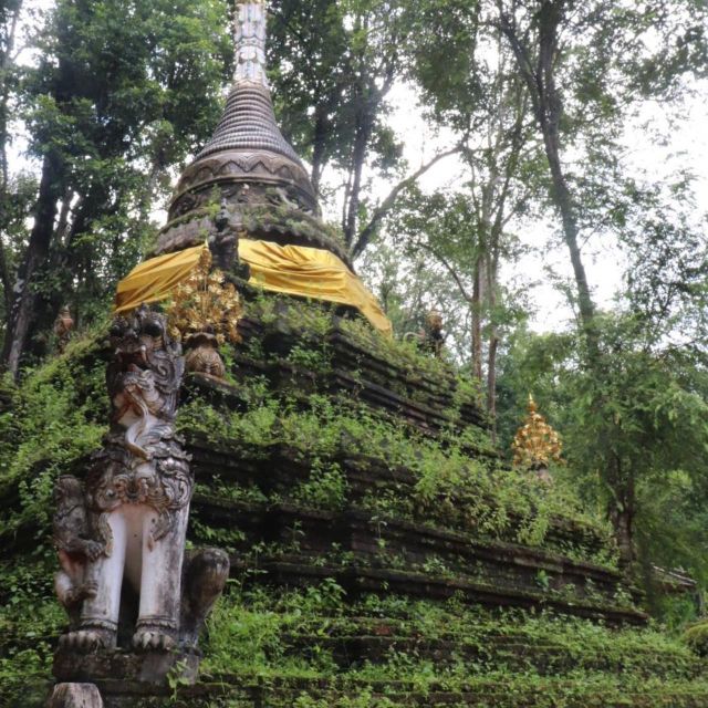 From Chiang Mai: Temples, Sticky Waterfall, and Orchid Farm - Wat Pha Lat