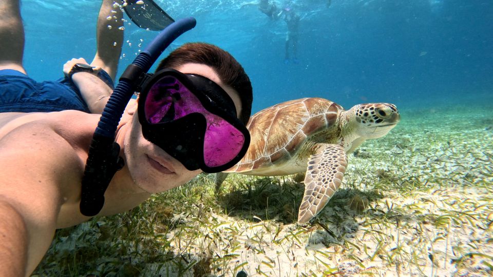 From Cozumel: Private Snorkeling Charter to El Cielo & Cielito - Snorkeling Inclusions